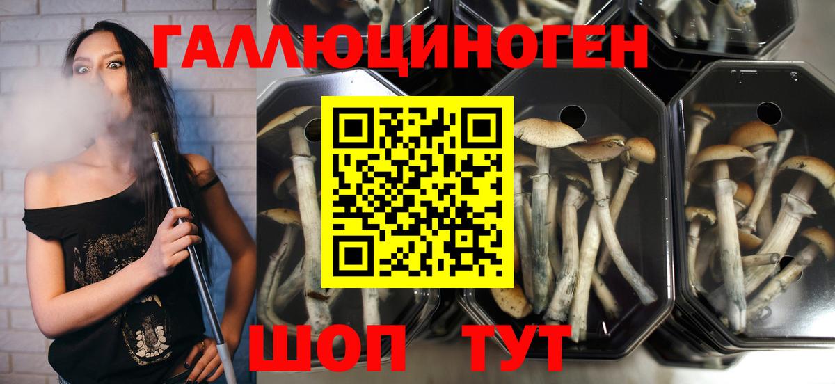 Галлюциногенные грибы Magic Shrooms Россия